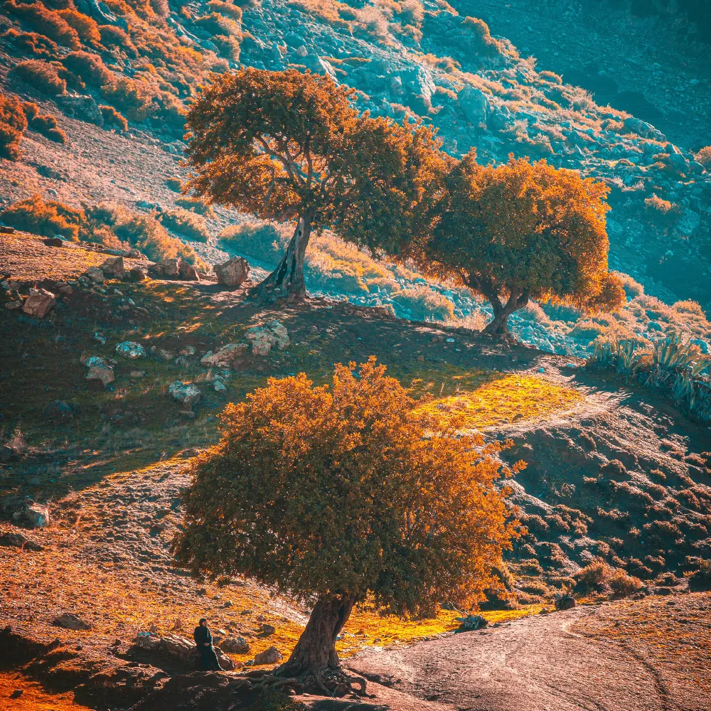 Autumn